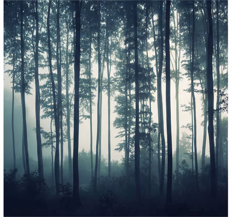 Papier peint forêt forêt peinte zen - TenStickers