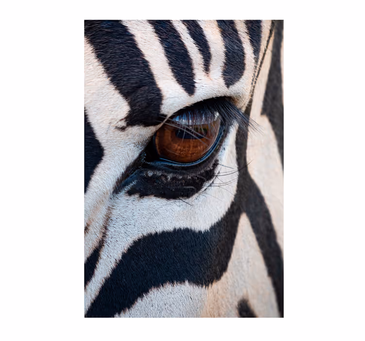 Tapisserie africaine œil de zèbre - TenStickers