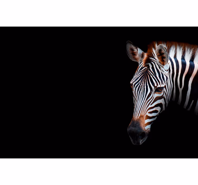 Tapisserie africaine image de zèbre - TenStickers