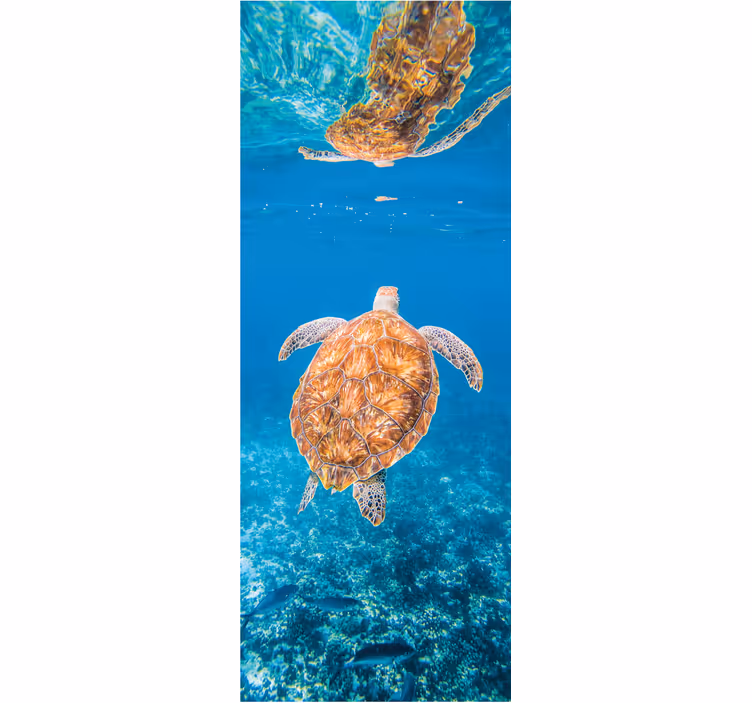 Tapisserie salle de bain tortue magnifique sous l'eau - TenStickers