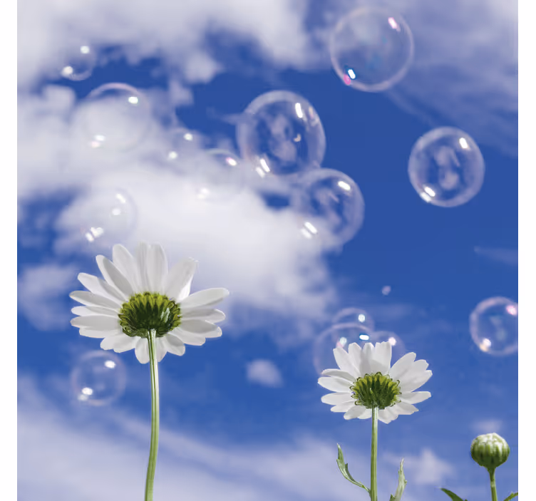 Tapisserie bleu fleur marguerite et bulles - TenStickers