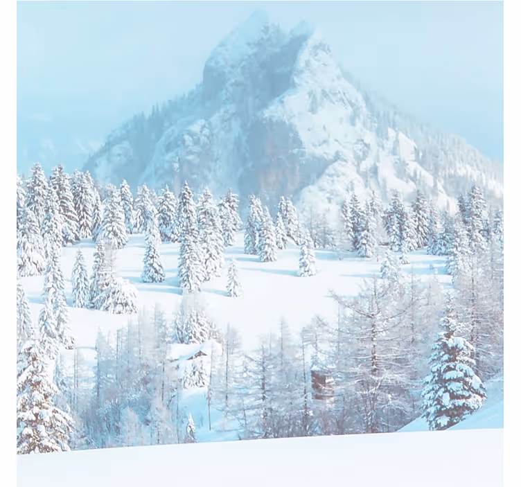 Tapisserie bleu photographie esthétique d'hiver - TenStickers