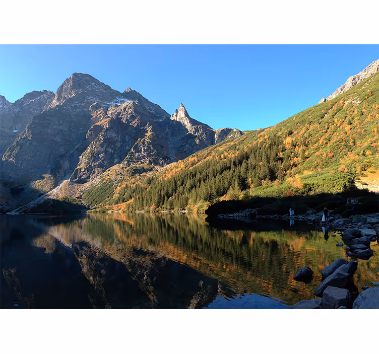 Tapisserie vert morskie oko au printemps - TenStickers