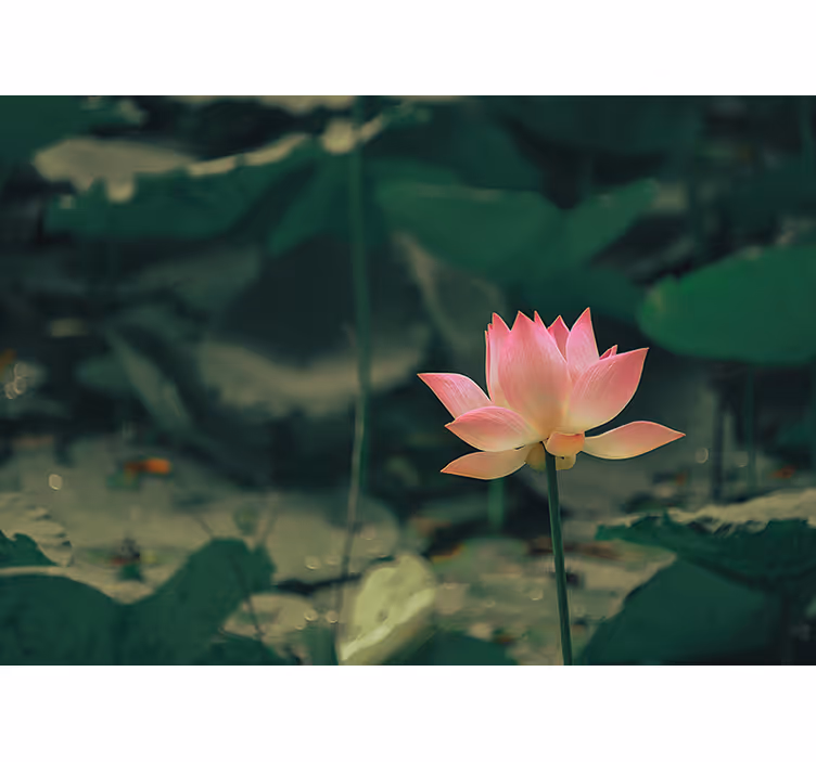 Tapisserie vert fleur rose - TenStickers