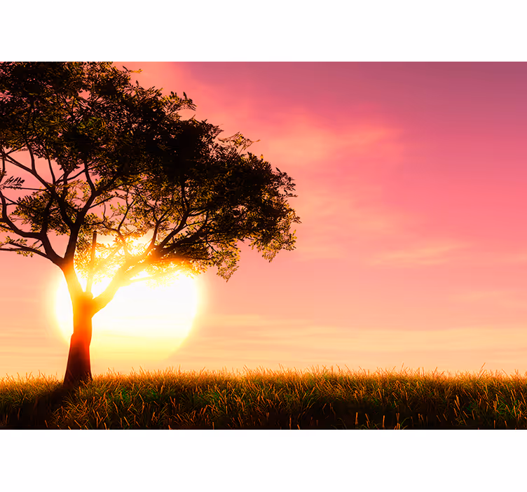 Tapisserie paysage savane, coucher soleil, silhouette - TenStickers