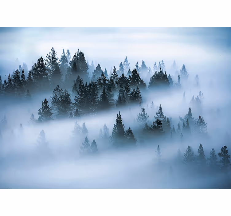 Papier peint forêt brume matinale - TenStickers
