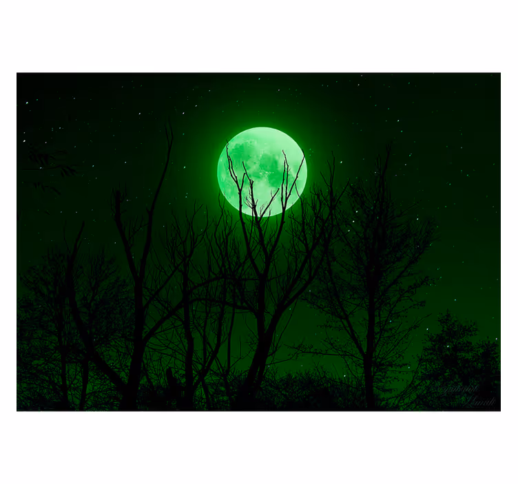 Tapisserie fantaisie silhouette musicale au clair de lune - TenStickers