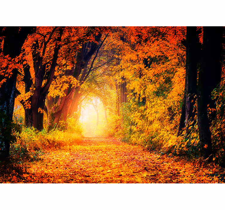 Tapisserie murale paysage chemin forestier d'automne - TenStickers
