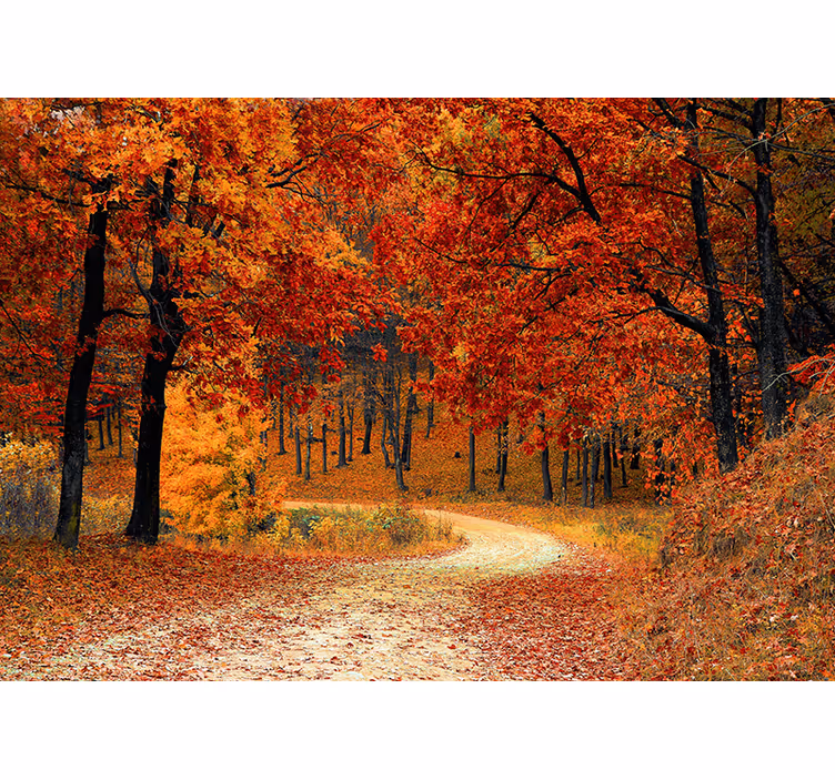 Papier peint paysage Arbres d'automne - TenStickers
