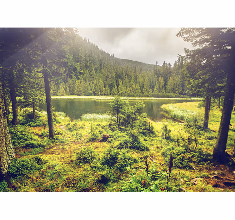 Tapisserie murale arbres verts entourant un lac - TenStickers