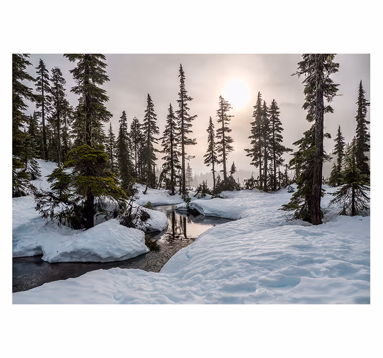 Papier peint salon forêt avec soleil d'hiver - TenStickers