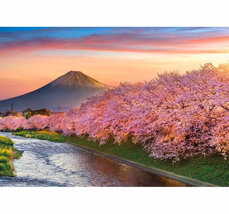 Tapisserie paysage fleurs de cerisier du mont fuji - TenStickers