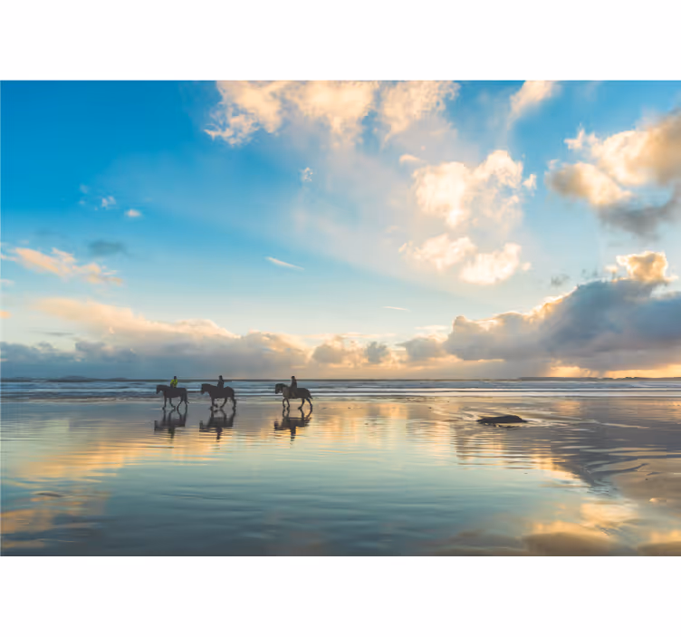 Tapisserie paysage cavaliers de la mer - TenStickers