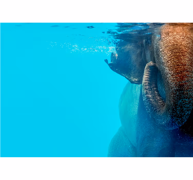 Tapisserie animaux éléphant sous-marin majestueux - TenStickers
