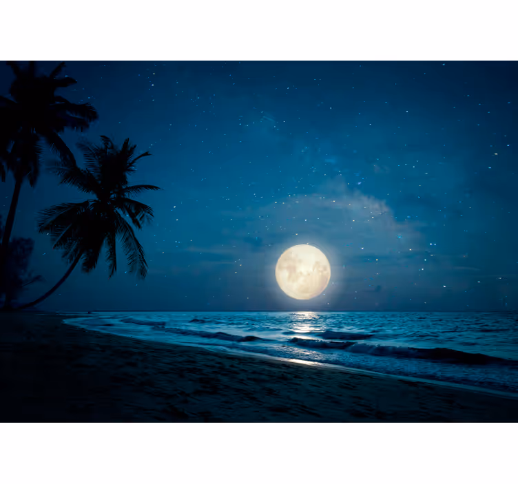 Tapisserie nature scène océanique au clair de lune - TenStickers