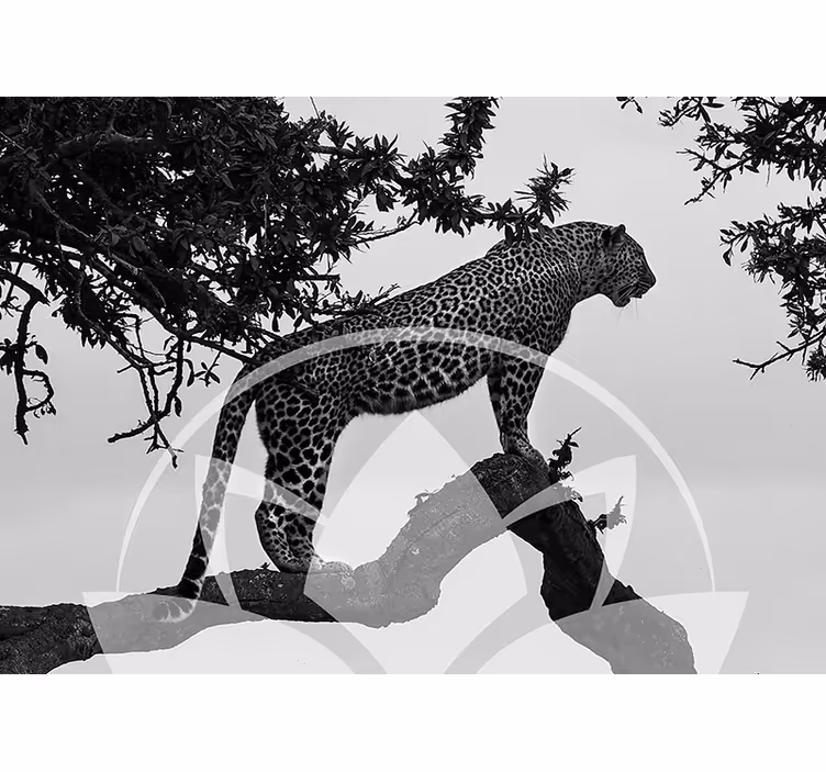 Tapisserie animaux léopard dans un arbre - TenStickers