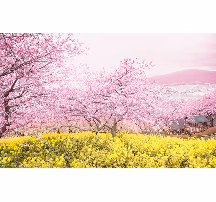 Tapisserie fleur tranquillité des fleurs de cerisier - TenStickers