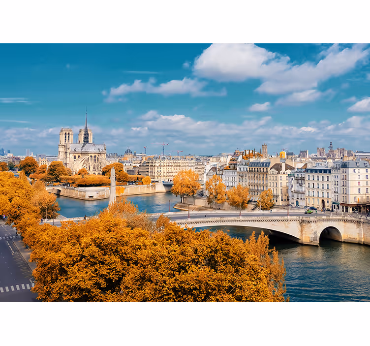 Tapisserie paris vue d'automne sur notre-dame - TenStickers