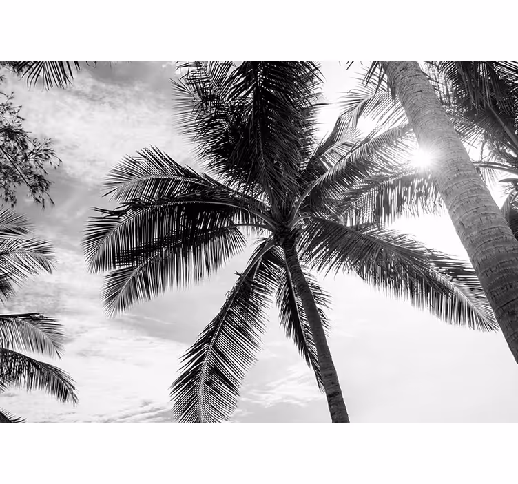 Tapisserie mer scène de palmiers tropicaux - TenStickers
