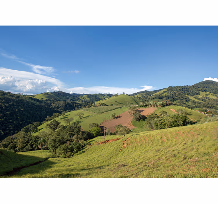 Tapisserie paysage collines verdoyantes - TenStickers