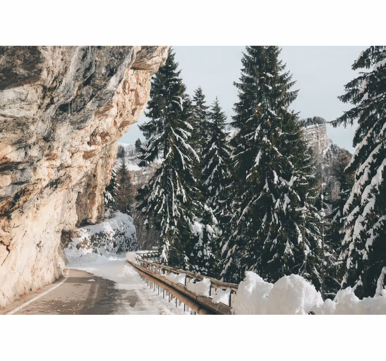 Tapisserie paysage scène hivernale de pins - TenStickers