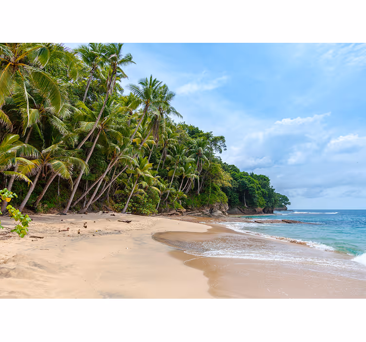 Tapisserie nature oasis tropicale en bord de mer - TenStickers