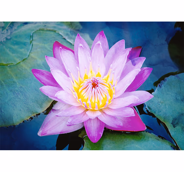 Tapisserie coquelicots charme de fleur de lotus - TenStickers