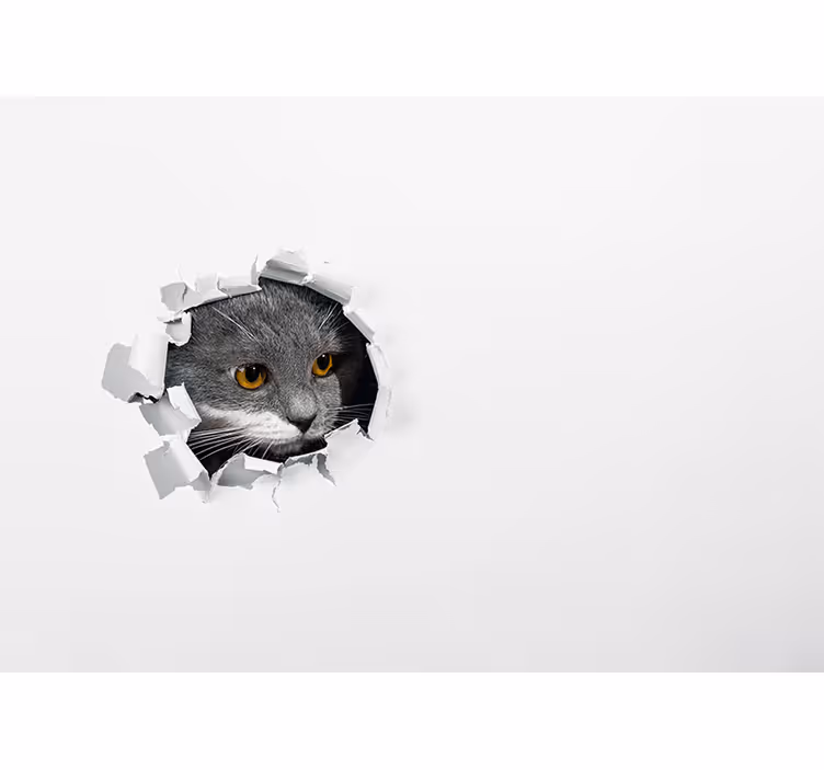 Tapisserie animaux chat curieux qui jette un œil - TenStickers