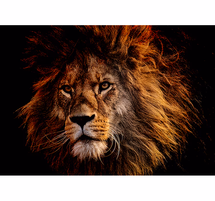 Tapisserie lion présence majestueuse du lion - TenStickers