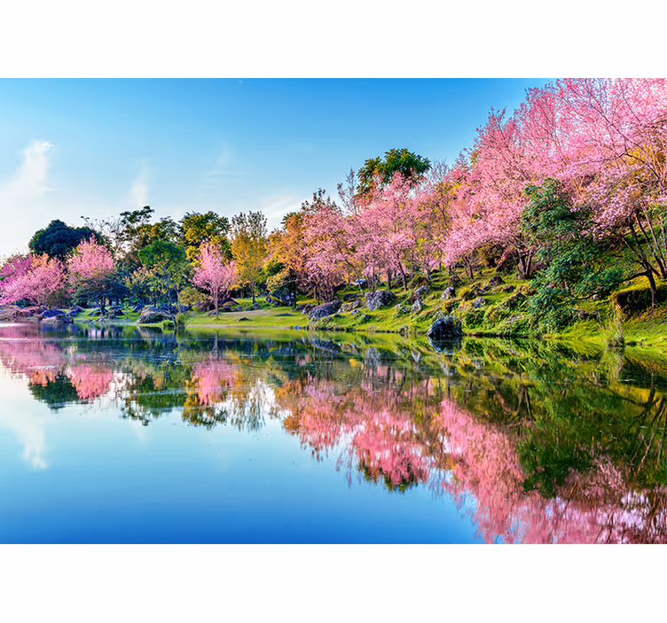 Tapisserie fleur reflets de fleurs de cerisier - TenStickers