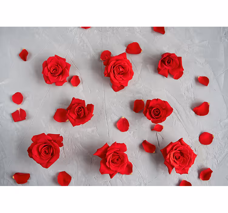 Tapisserie fleur pétales de rose rouges - TenStickers