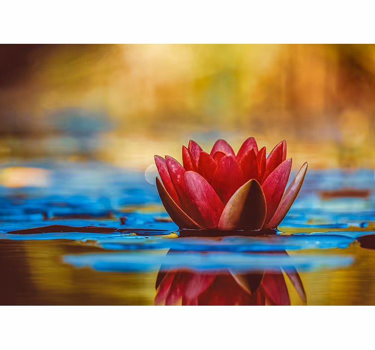 Tapisserie magnolia nénuphar gracieux - TenStickers