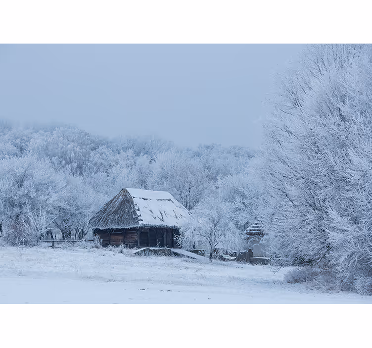Tapisserie paysage scène hivernale enneigée - TenStickers