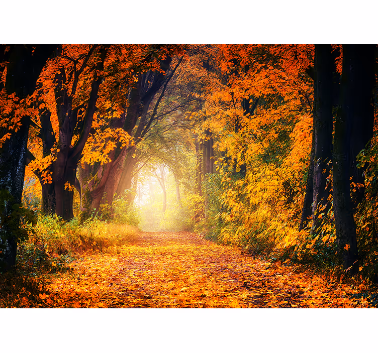 Tapisserie forêt scène de chemin automnal - TenStickers