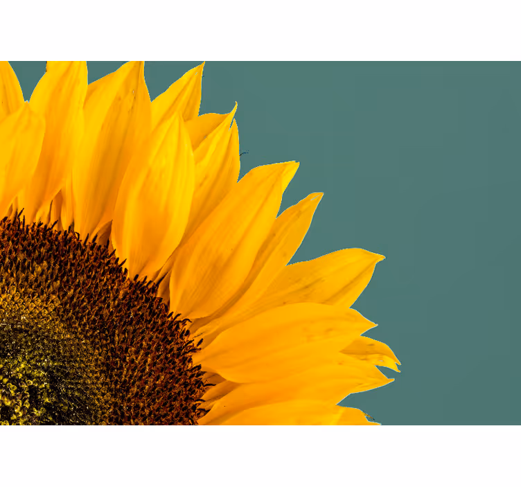 Tapisserie fleur gros plan de tournesol - TenStickers