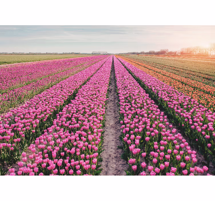 Tapisserie fleur prairie de tulipes - TenStickers