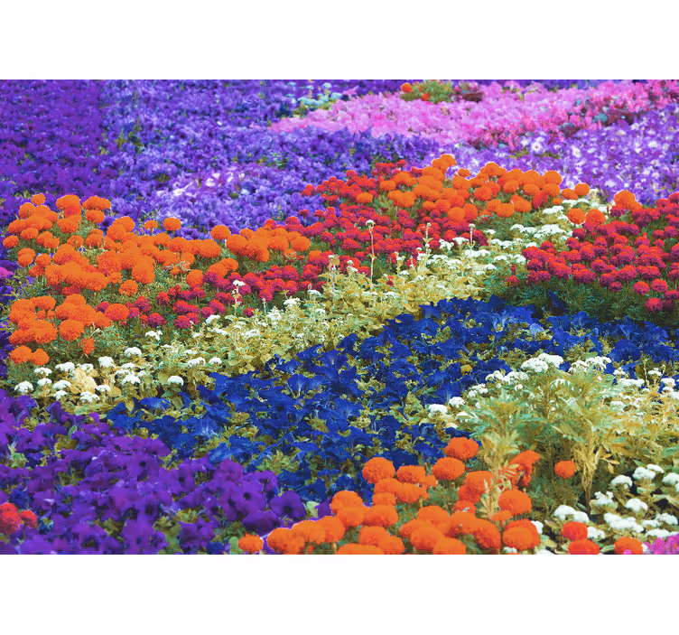 Tapisserie autres fleurs champ coloré - TenStickers