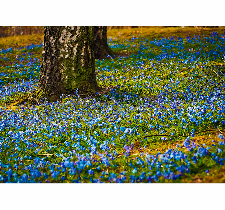 Tapisserie fleur scène de prairie de jacinthes - TenStickers