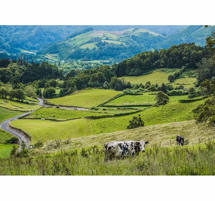 Tapisserie paysage champs verts ondulants - TenStickers