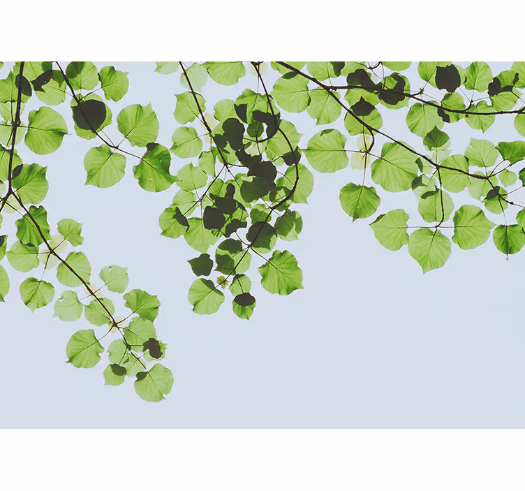 Tapisserie arbre voûte de branches feuillues - TenStickers