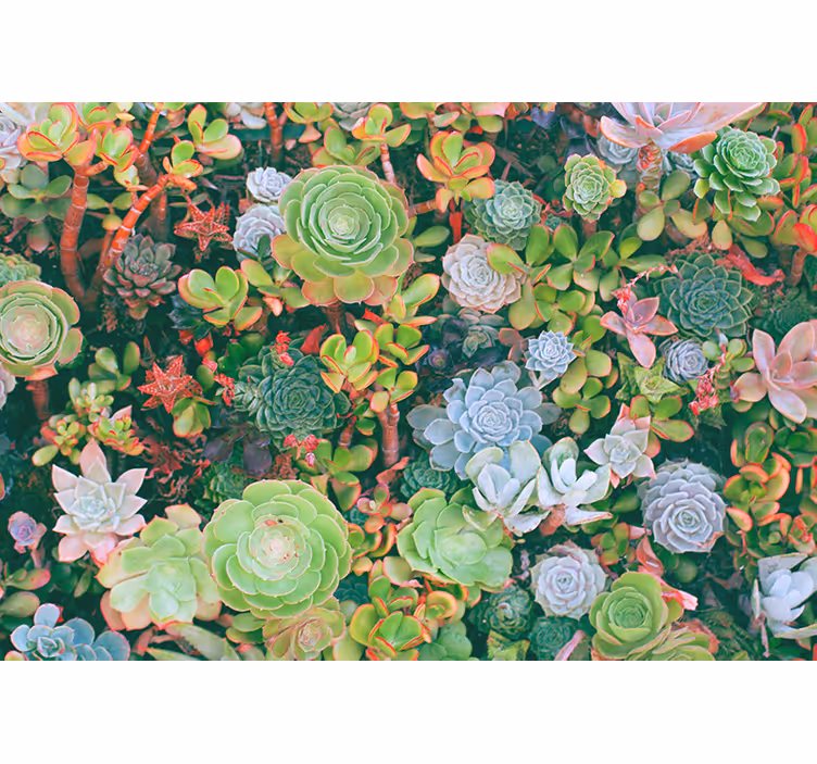 Tapisserie fleur jardin succulent fleuri - TenStickers