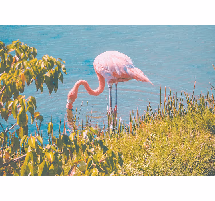 Tapisserie animaux sérénité du flamant rose - TenStickers
