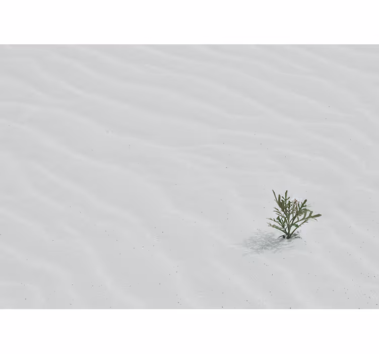 Tapisserie nature sable et végétation - TenStickers