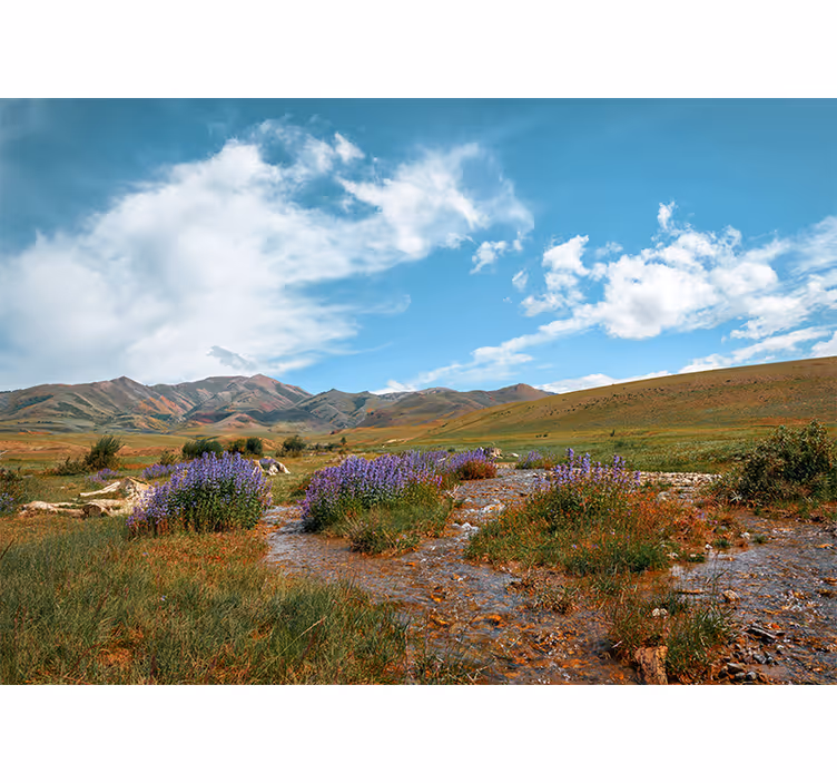 Tapisserie nature paysage de montagne vaste - TenStickers