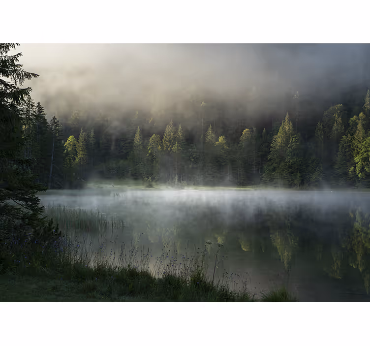 Tapisserie nature lac brumeux et serein - TenStickers
