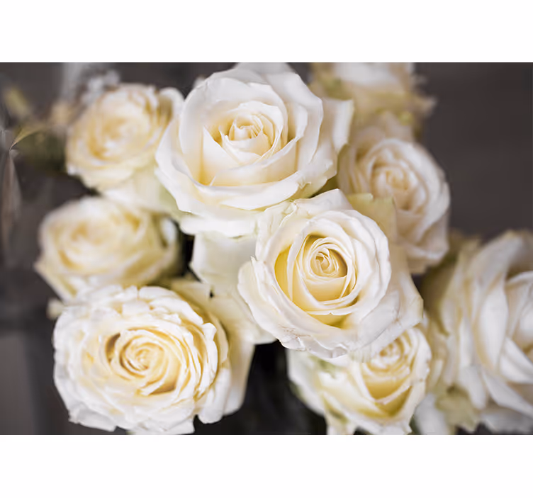 Tapisserie fleur roses blanches Élégantes - TenStickers
