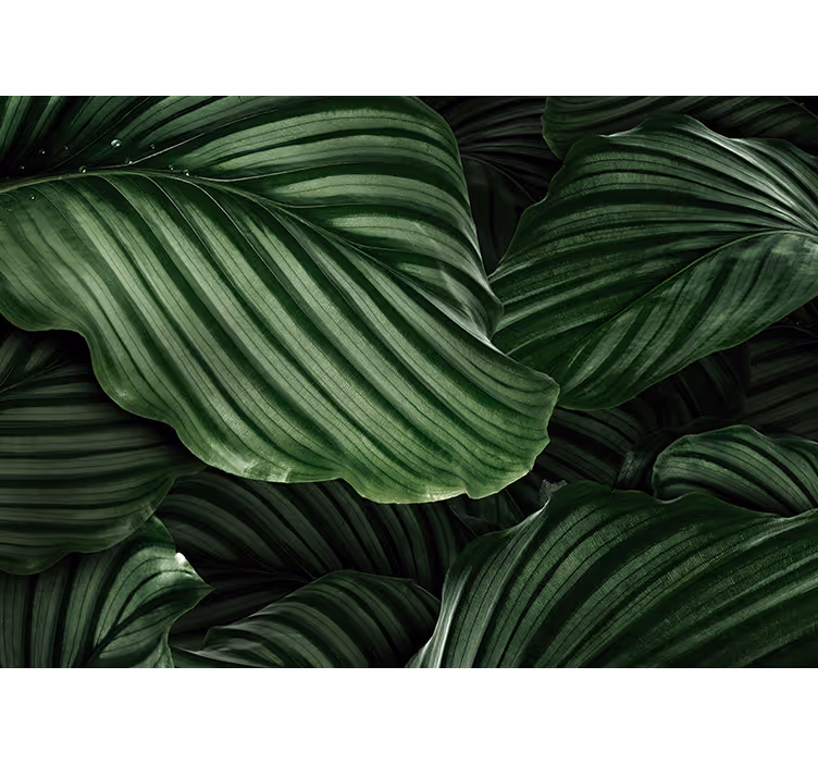Tapisserie nature feuilles de verdure luxuriantes - TenStickers