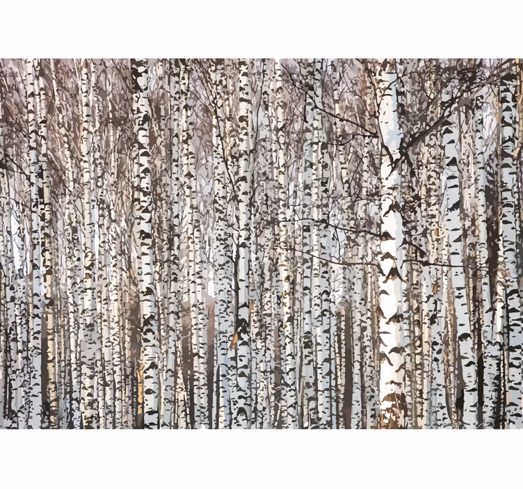 Tapisserie arbre forêt de bouleaux - TenStickers
