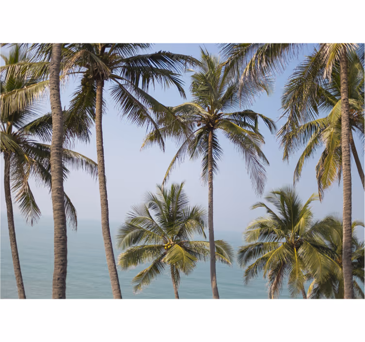 Papiers peints nature paysage de palmiers - TenStickers
