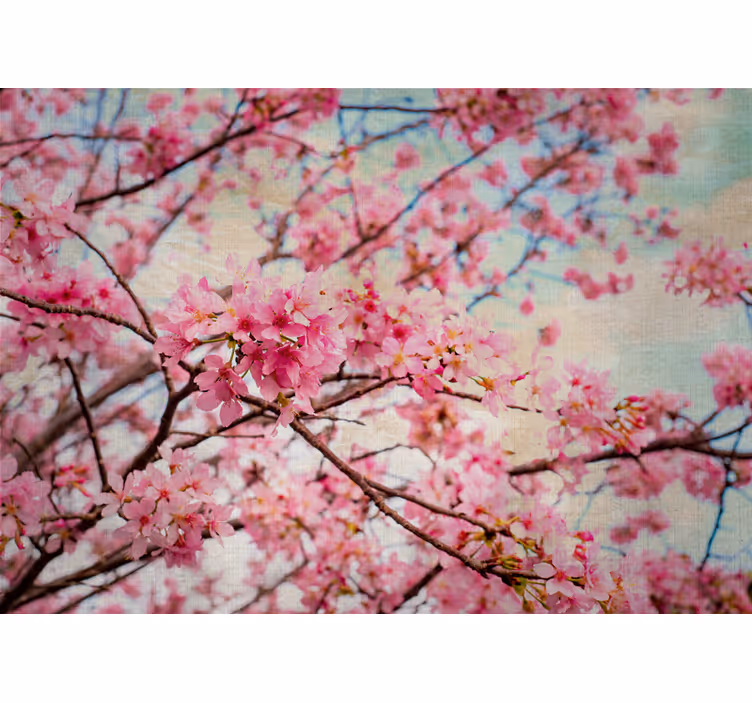 Tapisserie fleur branches de sakura - TenStickers
